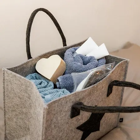 Ana Шале Бохинь